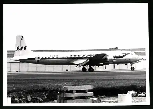 Fotografie Flugzeug Douglas DC-7, Passagierflugzeug der SAS, Kennung SE-CCB