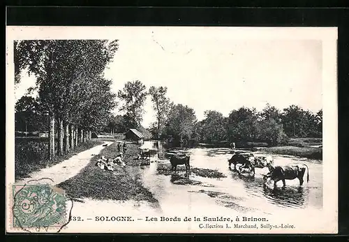 AK Sologne, Les Bords de la sauldre, a Brinon