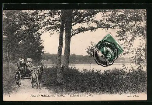 AK Meillant, Forêt de Meillant, L`Étang de la Grille