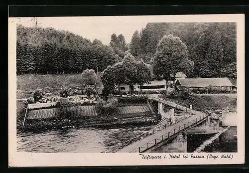 AK Passau, Gasthaus Triftsperre im Ilztal