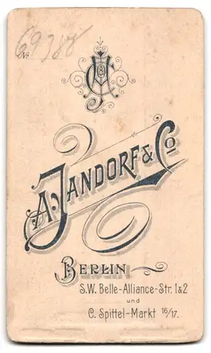 Fotografie A. Jandorf & Co., Berlin-SW, Belle-Alliance-Str. 1 & 2, Junge Dame mit zurückgebundenem Haar