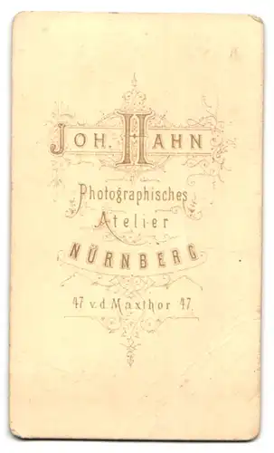 Fotografie Joh. Hahn, Nürnberg, v. d. Maxtor 47, Elegant gekleideter Herr mit Walross