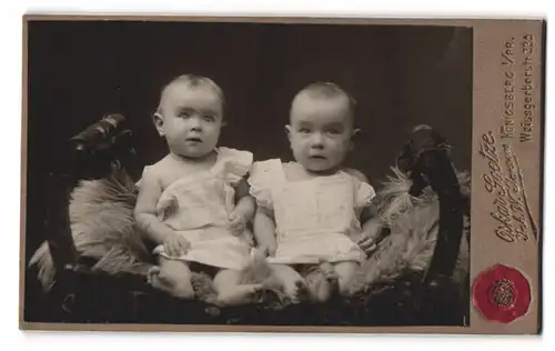 Fotografie Oskar Goetze, Königsberg /Pr., Weissgerberstrasse 22a, Zwei Babys in kurzen Kleidchen auf einem Fell