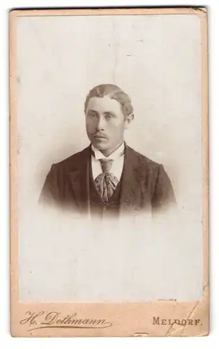 Fotografie H. Dethmann, Meldorf, Süder Strasse, Junger Mann mit breiter Krawatte
