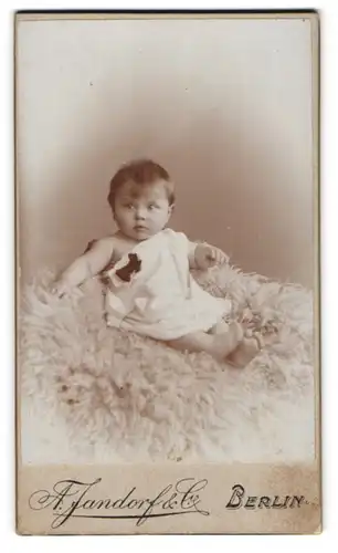 Fotografie A. Jandorf, Berlin S.W., Bellealliancestrasse 1 /2, Baby auf Schafsfell