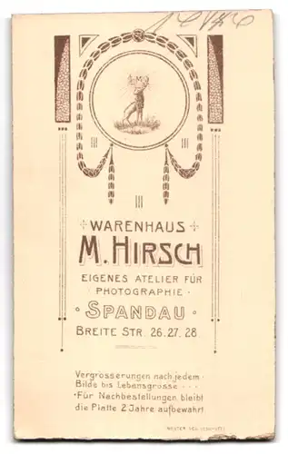 Fotografie M. Hirsch, Berlin-Spandau, Breite Strasse 26-28. Kleinkind mit angewidertem Blick