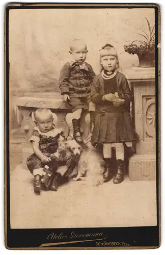 Fotografie Gronemann, Schönebeck a. Elbe, drei Kinder mit Puppen und Hund im Atelier, Junge tritt auf Kopf des Hundes