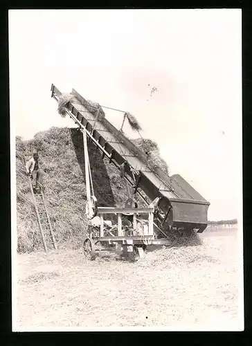 Fotografie Heuernte, Förderanlage türmt Heu zu einem Berg auf