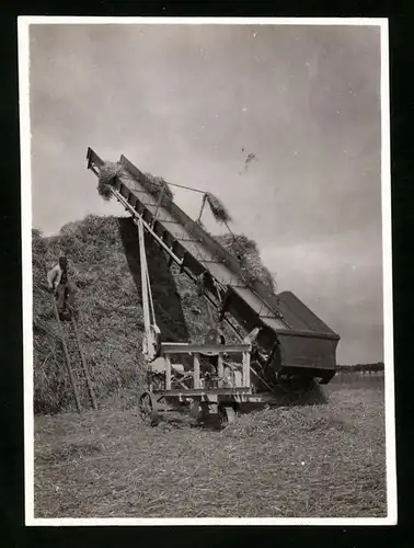 Fotografie Heuernte, Förderanlage schüttet Heu zu einem Haufen auf