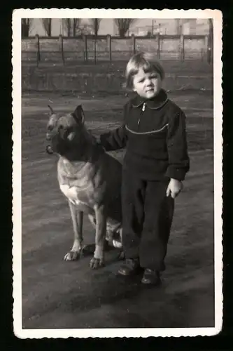 Fotografie Hund, Mädchen nebst Boxer