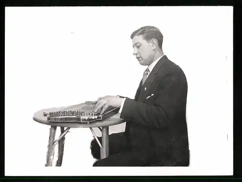 Fotografie Musiker spielt auf einer Zither