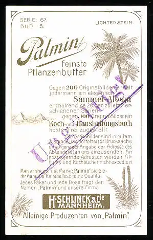 Sammelbild Palmin feinste Pflanzenbutter, H. Schlinck & Cie., Mannheim, Schlacht bei Türckheim