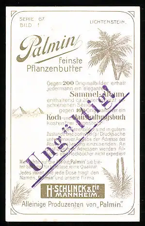 Sammelbild Palmin feinste Pflanzenbutter, H. Schlinck & Cie., Mannheim, Marie v. Lichtenstein u. Georg v. Sturmfeder