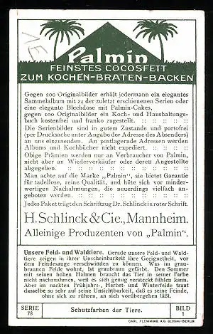 Sammelbild Palmin feinstes Cocosfett, H. Schlinck & Cie., Mannheim, Schutzfarben der Tiere, Hase