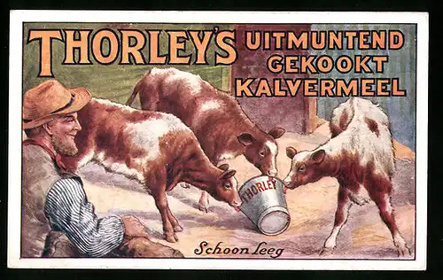 Kaufmannsbild K. Barger, Amsterdam, Throley`s uitmuntend gekookt Kalvermeel