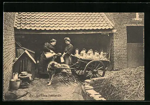 AK Hundegespann mit Milchkannen