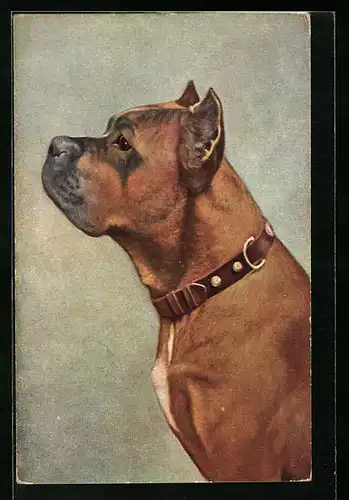 Künstler-AK Boxer im Profil