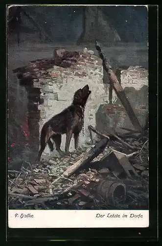 AK Der Letzte im Dorfe, Hund im Schutt vor einer Mauer bei Nacht