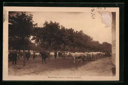 AK Sancoins, Champ de Foire