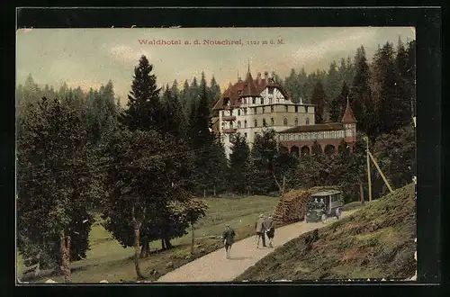 AK Notschrei i. Breisgau, Strassenpartie am Waldhotel