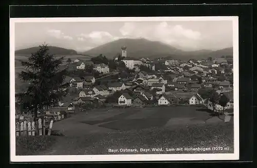 AK Lam /Bayr. Wald, Ortsansicht mit Hohenbogen