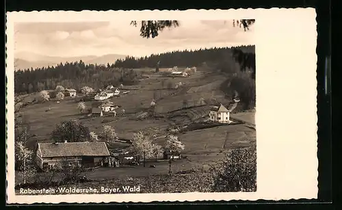 AK Rabenstein-Waldesruhe im Bayer. Wald, Ortsansicht