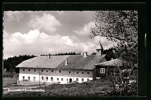 AK Englmar /Bayer. Wald, Berggasthof und Pension Bernhardshöhe