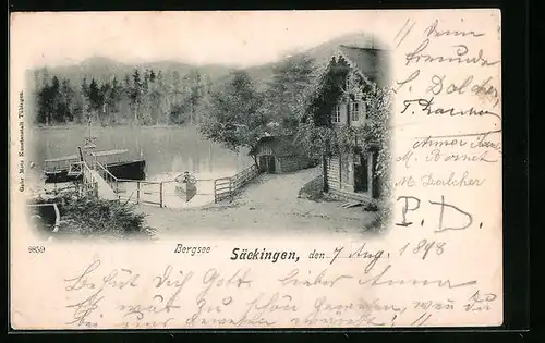 AK Säckingen, Blick auf den Bergsee