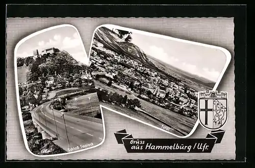 AK Hammelburg /Ufr., Schloss Saaleck, Totalansicht