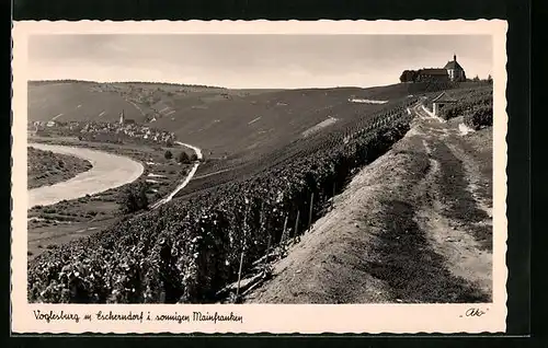 AK Volkach, Vogelsburg m. Escherndorf