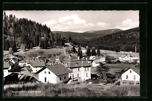 AK Regenhütte /Bayer. Wald, Blick auf die Dächer der Stadt