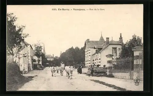 AK Veaugues, Rue de la Gare