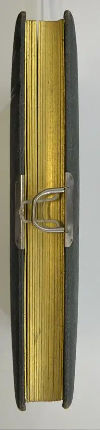 Fotoalbum Jugendstil im grünen Ledereinband, Metallschliesse, 14 Seiten Goldschnitt für Kabinett und CDV-Fotos 2