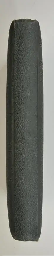 Fotoalbum Jugendstil im grünen Ledereinband, Metallschliesse, 14 Seiten Goldschnitt für Kabinett und CDV-Fotos 4