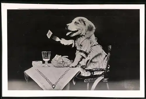Fotografie Fotomontage, vermenschlichter Hund beim Essen mit Besteck
