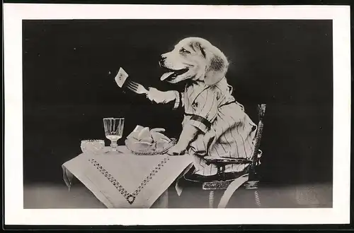 Fotografie Fotomontage, vermenschlichter Hund beim Speisen mit Besteck