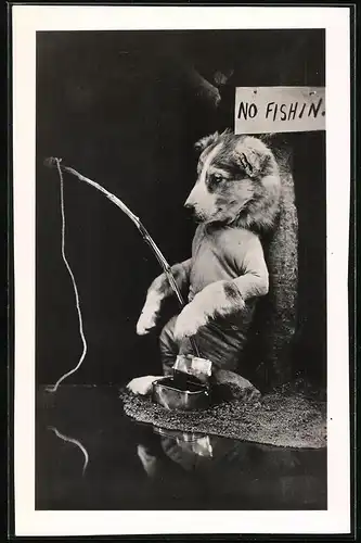 Fotografie Hund als Vagabund mit Angelroute beim angeln