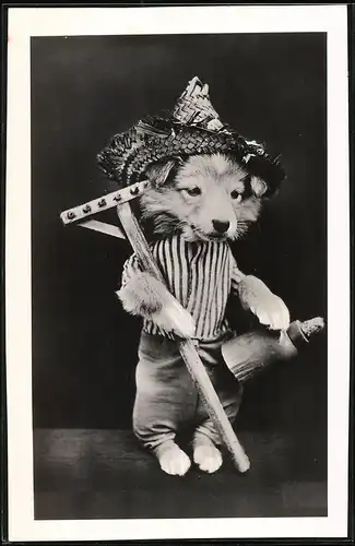 Fotografie Niedlicher Hund im Bauern-Kostüm mit Hut & Harke