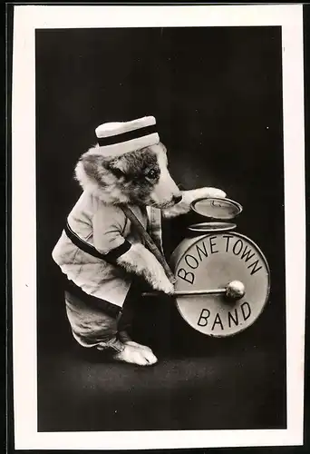 Fotografie Hund - Welpe im Musiker Kostüm mit Trommel der Bone Town Band