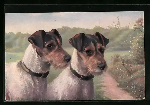 Künstler-AK Terrier im Park