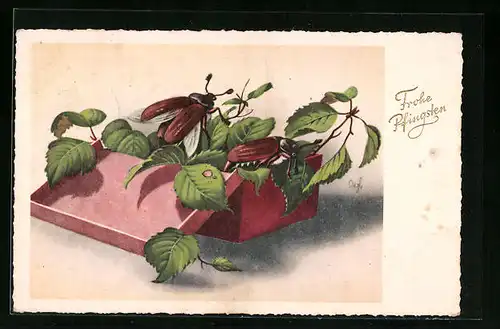 AK Maikäfer in einer Schachtel voller Birkenlaub