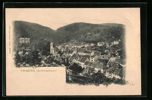 AK Triberg /Schwarzwald, Gesamtansicht