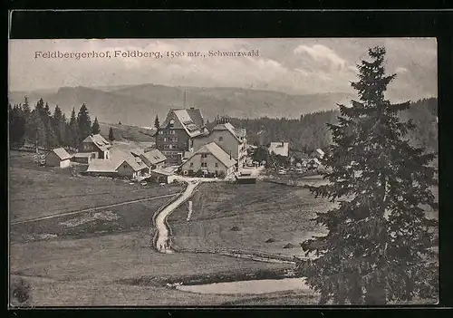 AK Feldberg /Schwarzwald, Feldberghof