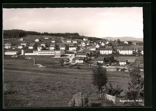 AK Regen /Bayer. Wald, Gesamtansicht
