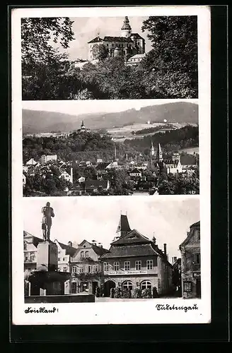 AK Friedland / Frydlant, Hotel zum schwarzen Adler, Schloss, Panorama