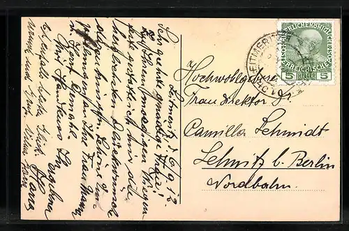 AK Leitmeritz / Litomerice, Totalansicht mit der neuen Elbebrücke
