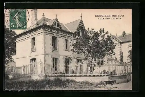 AK Neuville-aux-Bois, Villa des Tilleuls