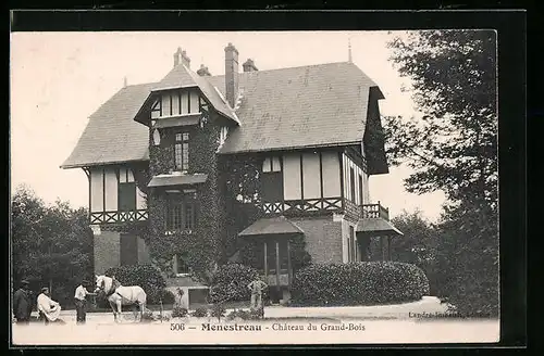 AK Menestreau, Chateau du Grand-Bois