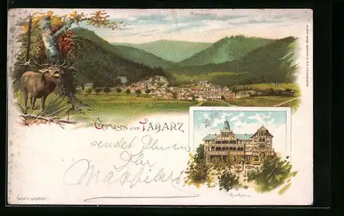 Lithographie Tabarz, Gesamtansicht und Kurhaus