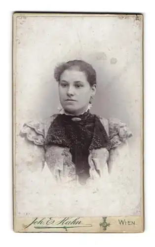 Fotografie Joh. E. Hahn, Wien, Mariahilferstr. 105, Junge Dame im Kleid mit Kragenbrosche
